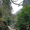 DSC04441.JPG