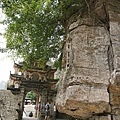 DSC04452.JPG