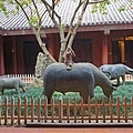 DSC04141.JPG