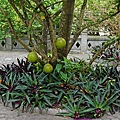 DSC04143.JPG