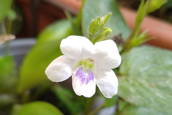 350619911.jpg 350619911.jpg