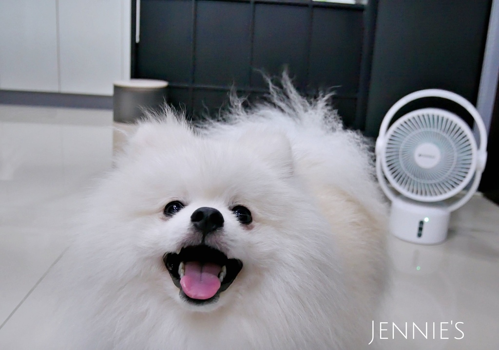 山水電風扇,循環扇,無限風扇,寵物散熱,手持風扇,節能風扇,循環,吹冷氣,熱,天氣熱山水電風扇P1160399.jpg 山水電風扇,循環扇,無限風扇,寵物散熱,手持風扇,節能風扇,循環,吹冷氣,熱,天氣熱山水電風扇P1160399.jpg