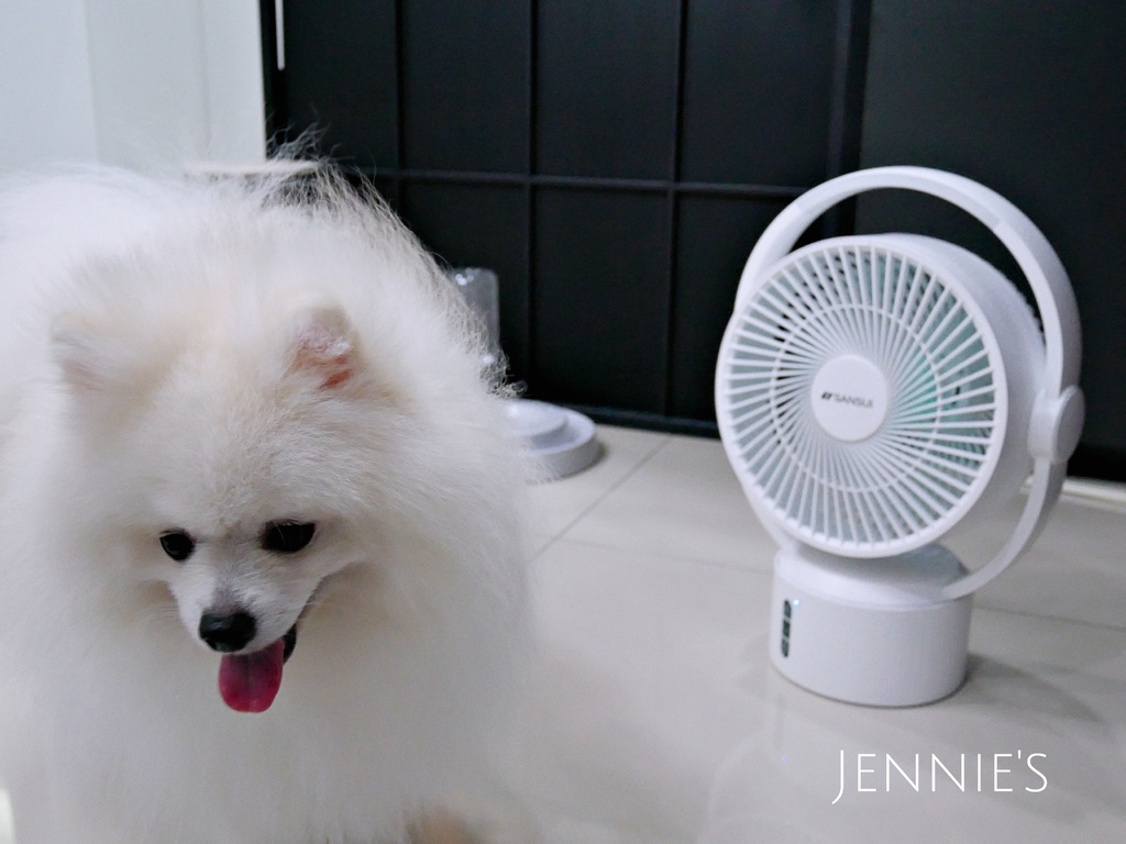 山水電風扇,循環扇,無限風扇,寵物散熱,手持風扇,節能風扇,循環,吹冷氣,熱,天氣熱山水電風扇P1160418.jpg 山水電風扇,循環扇,無限風扇,寵物散熱,手持風扇,節能風扇,循環,吹冷氣,熱,天氣熱山水電風扇P1160418.jpg