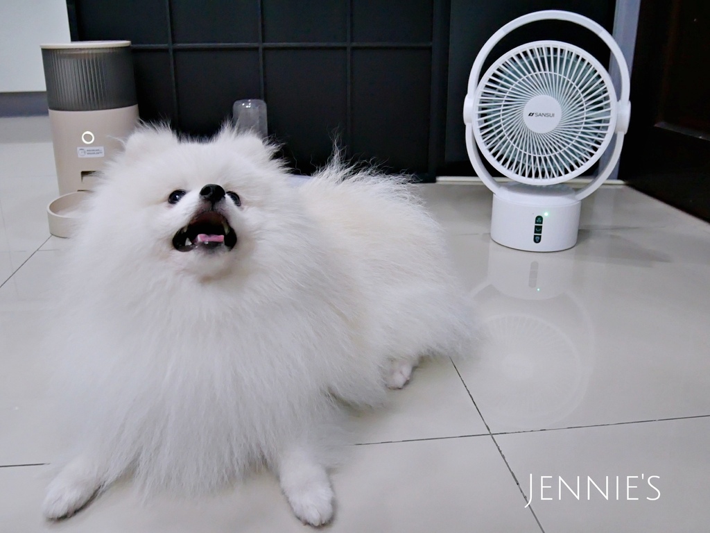 山水電風扇,循環扇,無限風扇,寵物散熱,手持風扇,節能風扇,循環,吹冷氣,熱,天氣熱山水電風扇P1160354.jpg 山水電風扇,循環扇,無限風扇,寵物散熱,手持風扇,節能風扇,循環,吹冷氣,熱,天氣熱山水電風扇P1160354.jpg