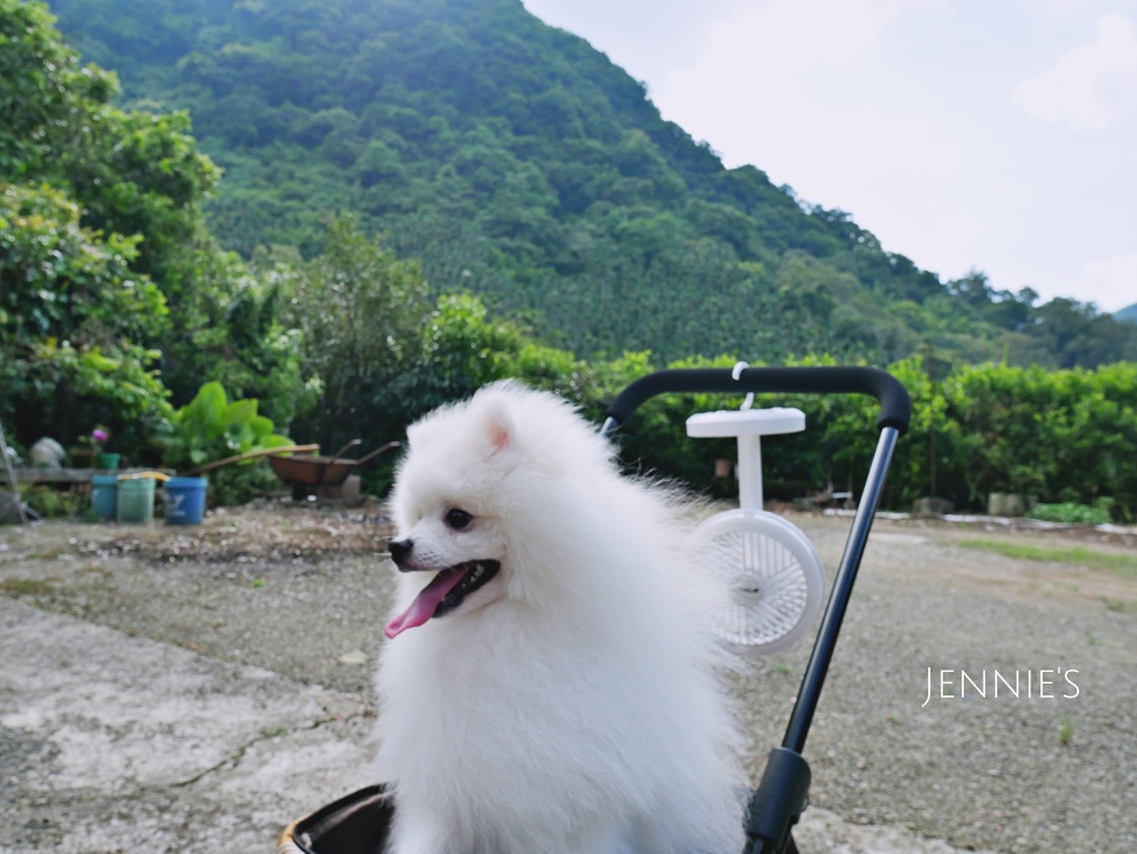 山水電風扇,循環扇,無限風扇,寵物散熱,手持風扇,節能風扇,循環,吹冷氣,熱,天氣熱山水電風扇P1160437.jpg 山水電風扇,循環扇,無限風扇,寵物散熱,手持風扇,節能風扇,循環,吹冷氣,熱,天氣熱山水電風扇P1160437.jpg