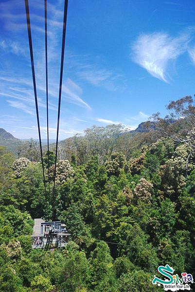 Blue Mountain - Scenic World