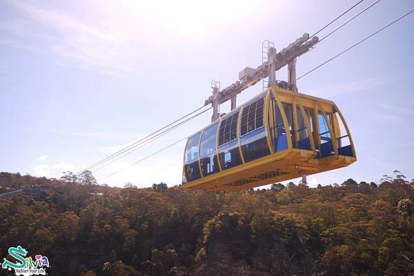 Blue Mountain - Scenic World