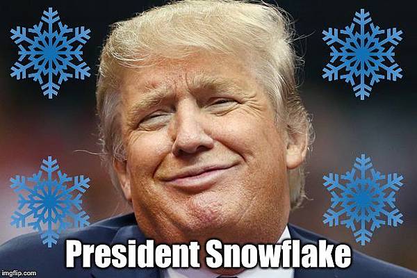 snowflake6.jpg