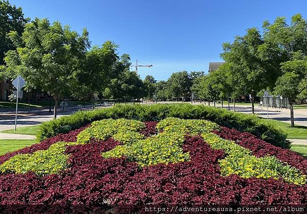 IMG_4372.JPG IMG_4372.JPG