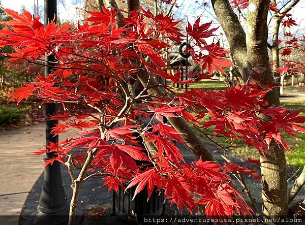 IMG_9431.JPG IMG_9431.JPG