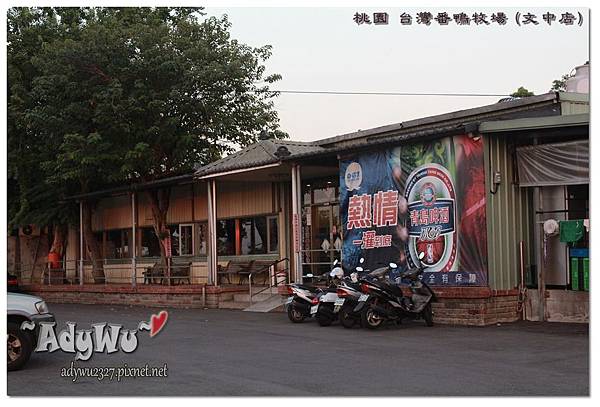 桃園 台灣番鴨牧場 (文中店) 桃園 台灣番鴨牧場 (文中店)