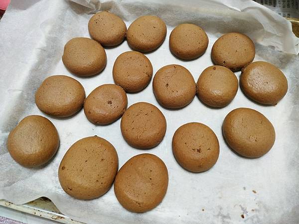 IMG_20240723_195606 (自訂).jpg