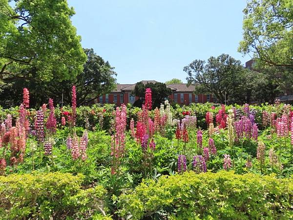 2025-03-22 12-14-57 (自訂).JPG