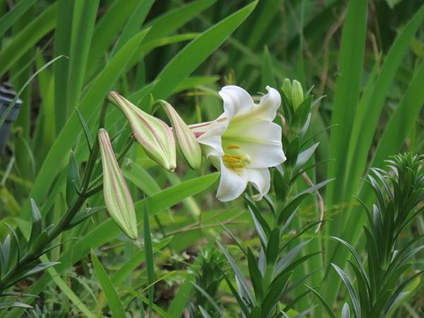 2025-04-04 10-16-02 (自訂).JPG