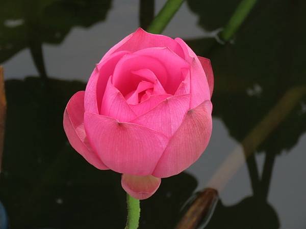 2025-07-12 11-47-17 (小).JPG