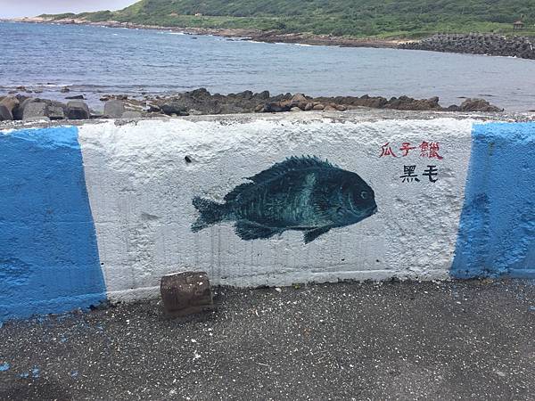Black-Mao Fish
