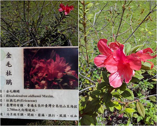 惠蓀10.jpg 惠蓀10.jpg