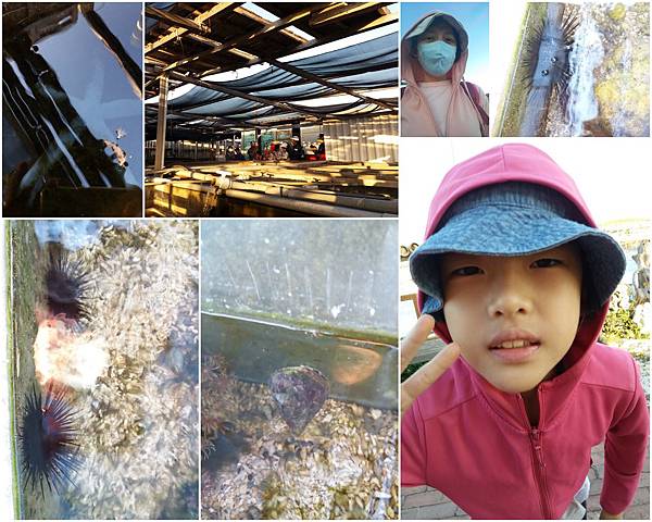 淺海輕旅行5.jpg 淺海輕旅行5.jpg
