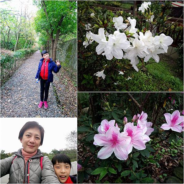 花宜五日遊43.jpg 花宜五日遊43.jpg