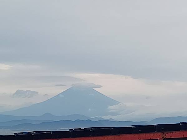 鎌倉漫行(2023東京DAY2)