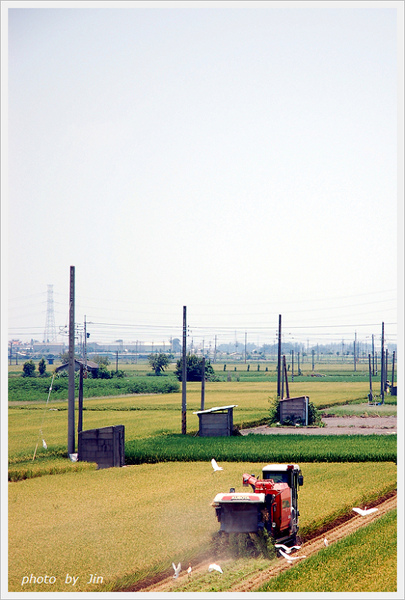 登登登~今日農村~