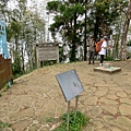 051.jpg