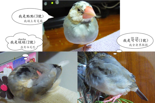 20110309-改.jpg 20110309-改.jpg