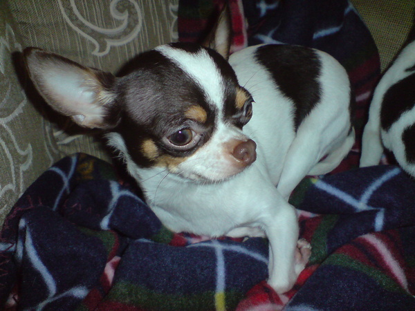 DSC00022.JPG