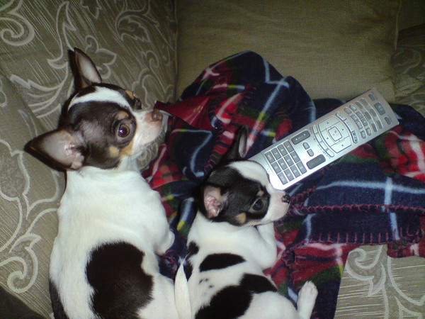 DSC00028.JPG