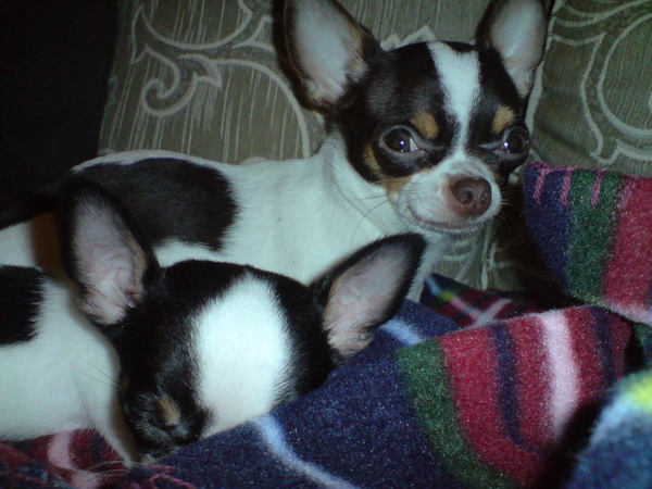 DSC00032.JPG