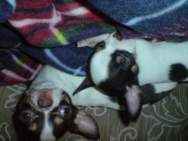 DSC00033.JPG