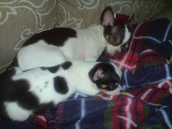 DSC00040.JPG