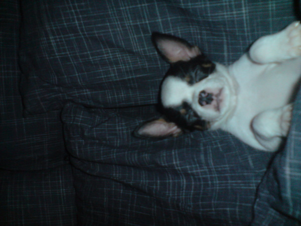 DSC00054.JPG