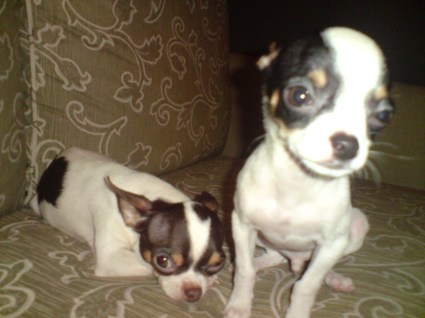 DSC00260.JPG