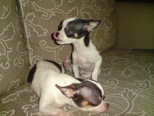 DSC00259.JPG