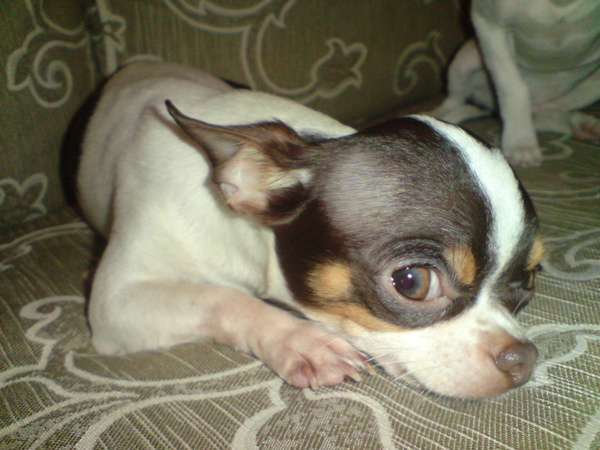 DSC00264.JPG