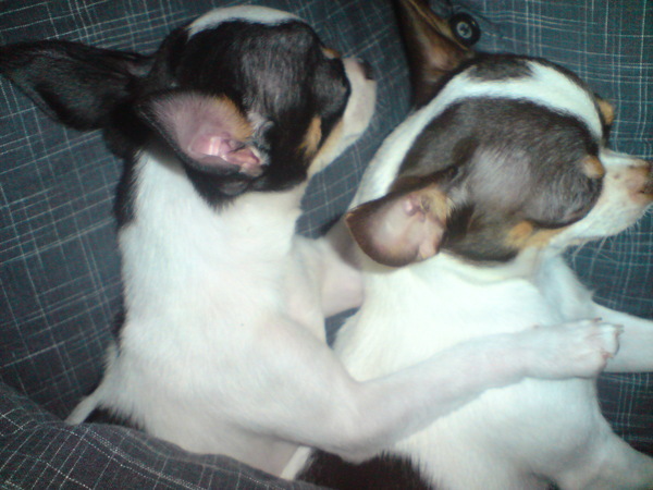 DSC00303.JPG