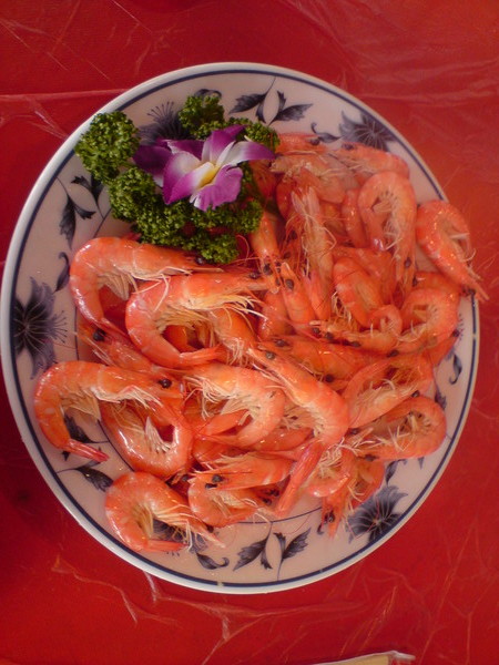 DSC00404.JPG