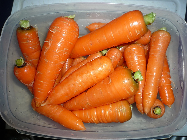 carrots