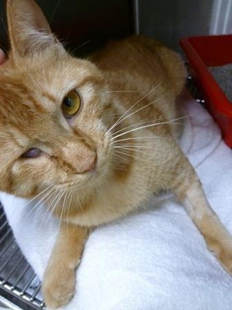 IMG_175833453948223.jpeg IMG_175833453948223.jpeg