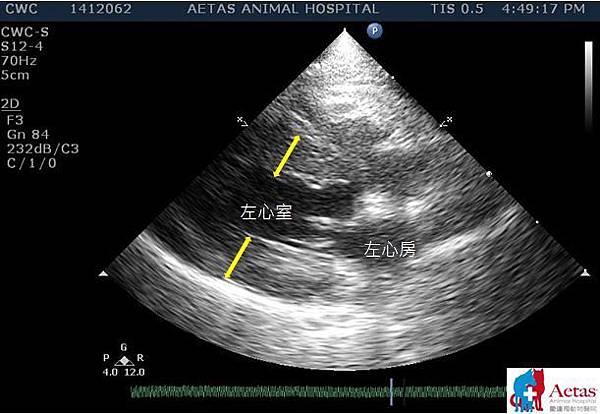 HCM-N.JPG