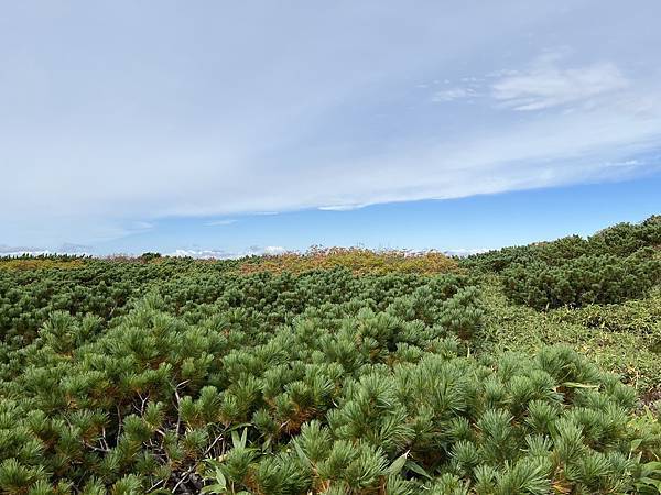 2023北海道親子遊 Day3 旭岳 富良野美瑛