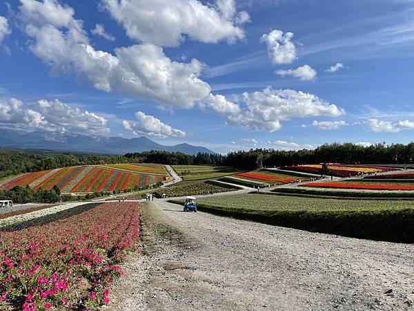 2023北海道親子遊 Day3 旭岳 富良野美瑛