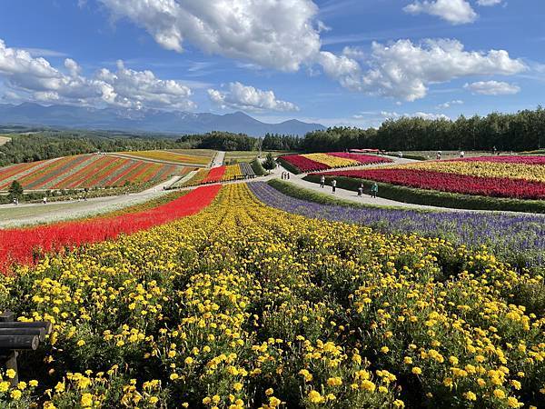 2023北海道親子遊 Day3 旭岳 富良野美瑛