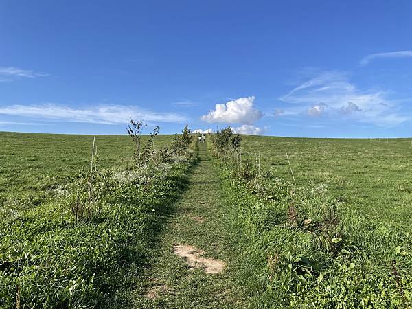 2023北海道親子遊 Day3 旭岳 富良野美瑛
