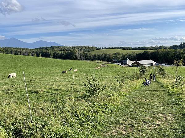 2023北海道親子遊 Day3 旭岳 富良野美瑛