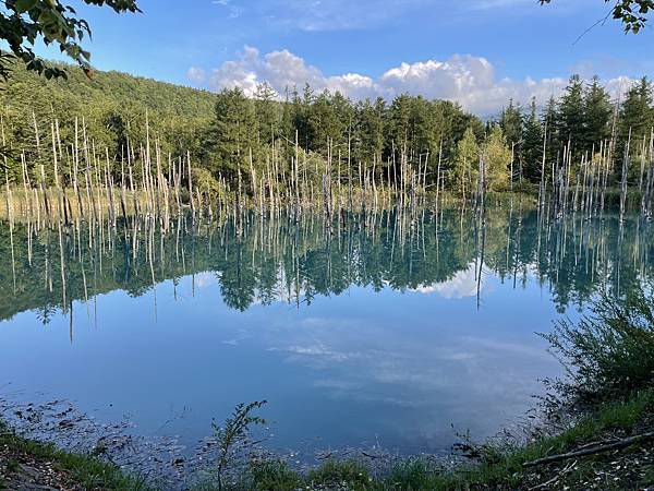 2023北海道親子遊 Day3 旭岳 富良野美瑛