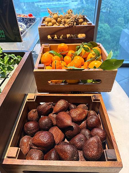 2024吉隆坡 Day2 吉隆坡水族館 吉隆坡塔