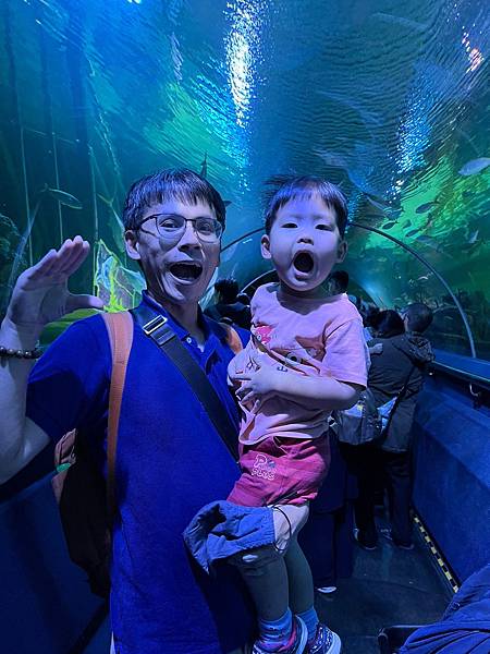 2024吉隆坡 Day2 吉隆坡水族館 吉隆坡塔