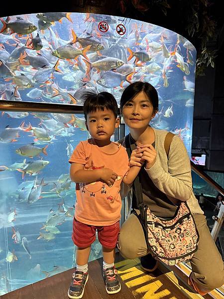 2024吉隆坡 Day2 吉隆坡水族館 吉隆坡塔